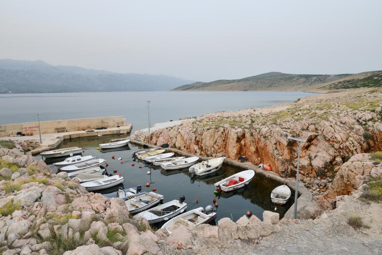 Apartment Olive Jovici  Dış mekan fotoğraf