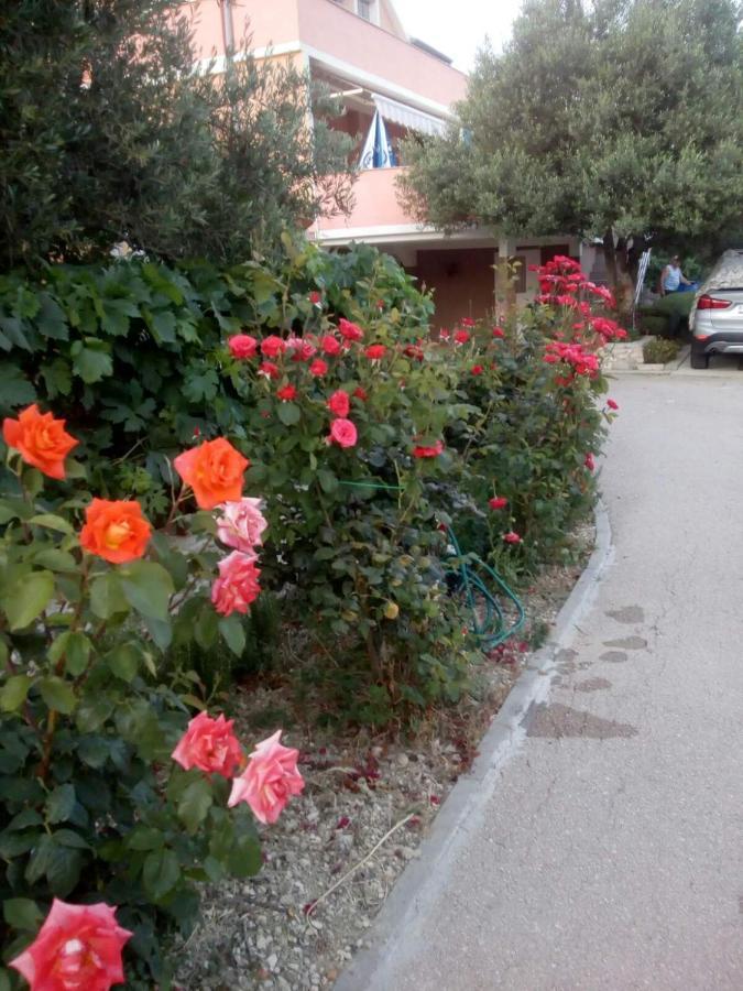 Apartment Olive Jovici  Dış mekan fotoğraf
