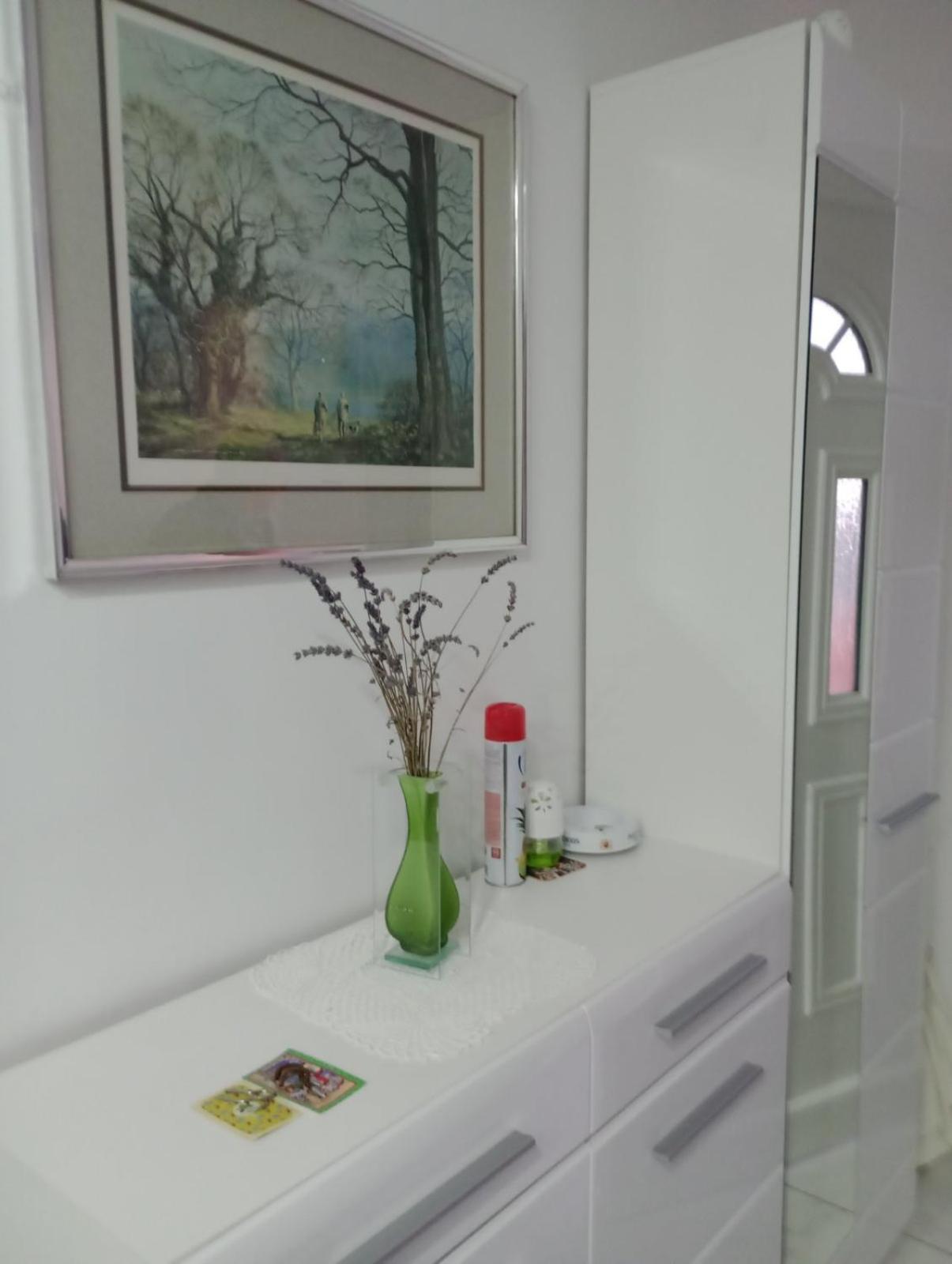 Apartment Olive Jovici  Dış mekan fotoğraf